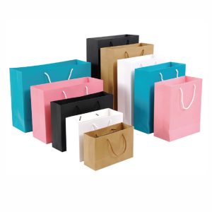 Mẫu in túi giấy các màu