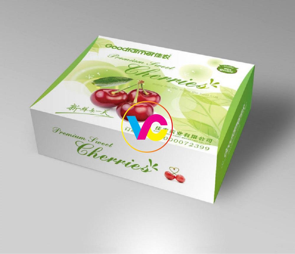 Dịch vụ in trọn gói in hộp giấy Hà Nội tại In Việt Cường