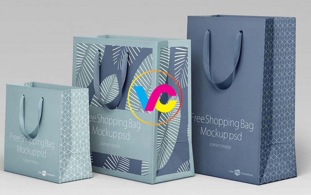 Dịch vụ in túi giấy Hà Nội giá rẻ uy tín - lấy ngay