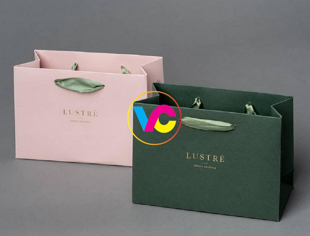 In túi giấy theo yêu cầu - Xưởng in ĐẸP, GIÁ RẺ tại Hà Nội