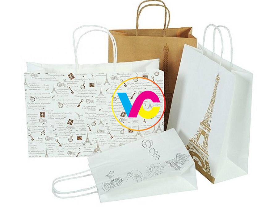 Dịch vụ in túi giấy Hà Nội lấy ngay giá rẻ miễn phí thiết kế