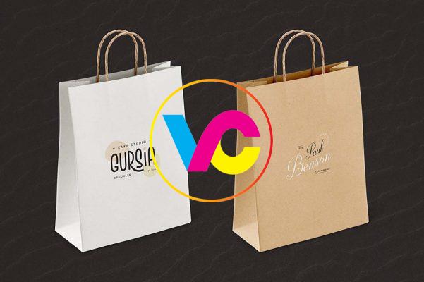 In túi giấy Hà Nội giá siêu rẻ nhận in theo yêu cầu