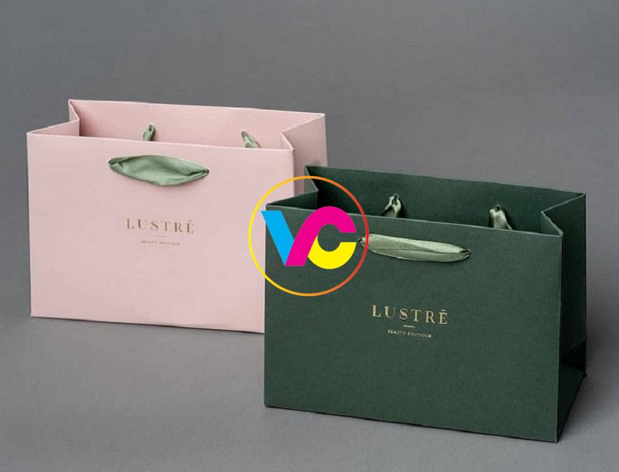 Địa chỉ in túi giấy giá rẻ thiết kế File in chuẩn miễn phí