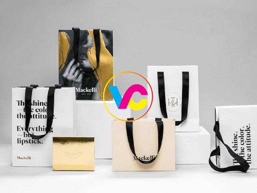 Dịch vụ in túi giấy Hà Nội lấy ngay giá rẻ miễn phí thiết kế