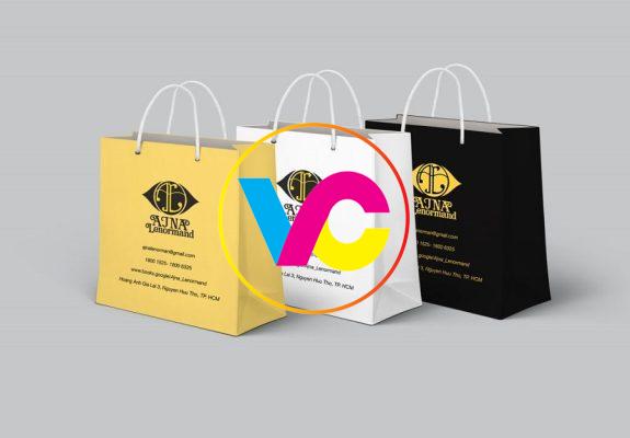 Địa chỉ sản xuất túi giấy Hà Nội đầy đủ mẫu mã chất lượng cao