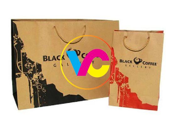 Xưởng in túi giấy Hà Nội giá rẻ, in trực tiếp giá cạnh tranh