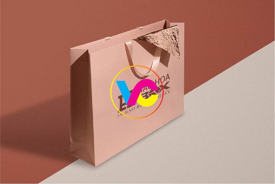 Dịch vụ in túi giấy Hà Nội lấy ngay giá rẻ miễn phí thiết kế