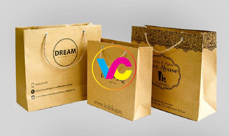 In túi giấy Hà Nội lấy ngay rẻ nhất Hà Nội miễn phí thiết kế