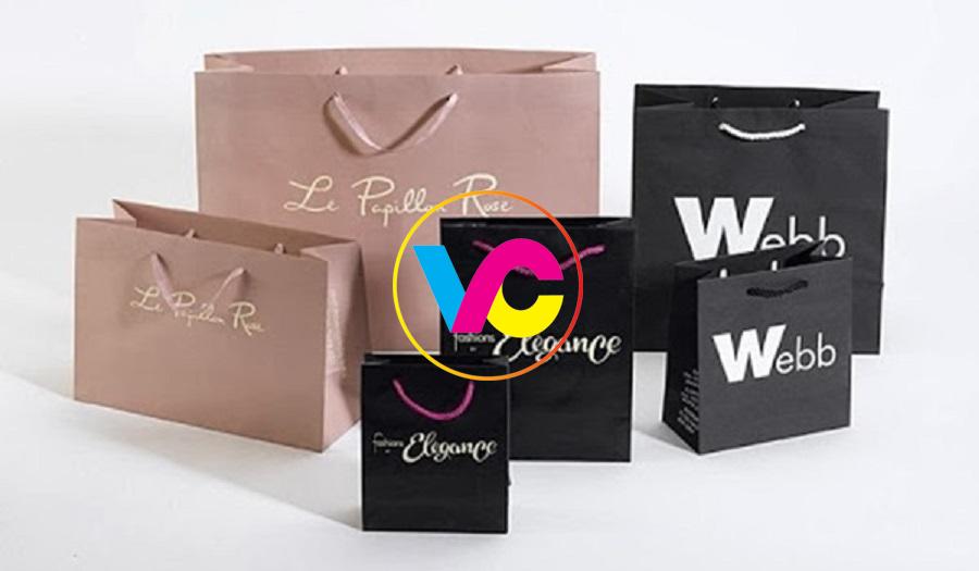 Dịch vụ in túi giấy Hà Nội lấy ngay giá rẻ miễn phí thiết kế